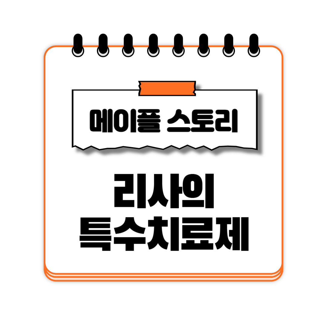 리사의 특수치료제 메이플 스토리 메이플랜드