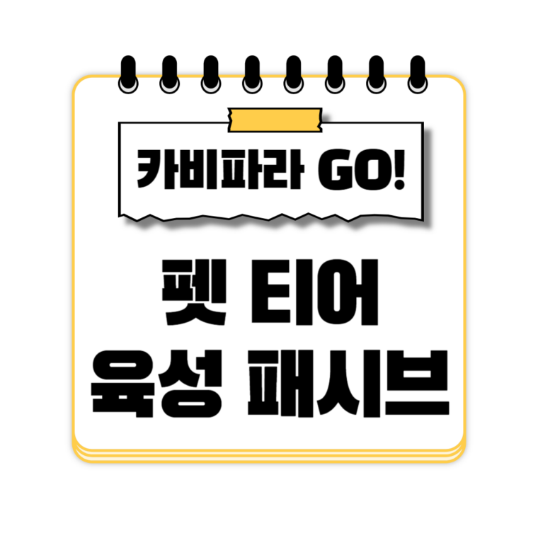 카피바라 GO 펫 티어 육성 패시브